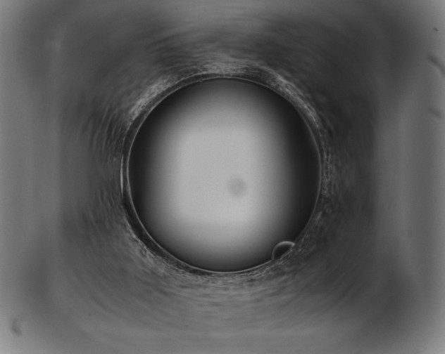 X0000103480011200809121700