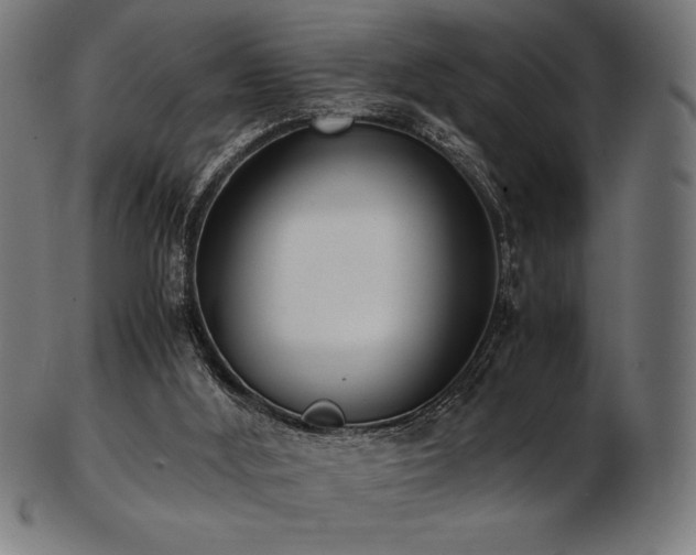 X0000103480012200809121700