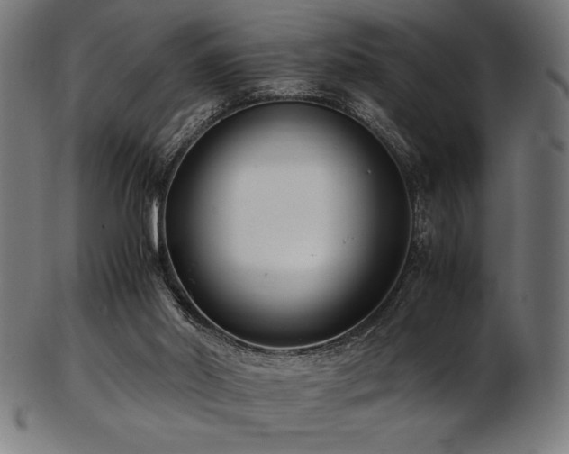 X0000103480014200809121700