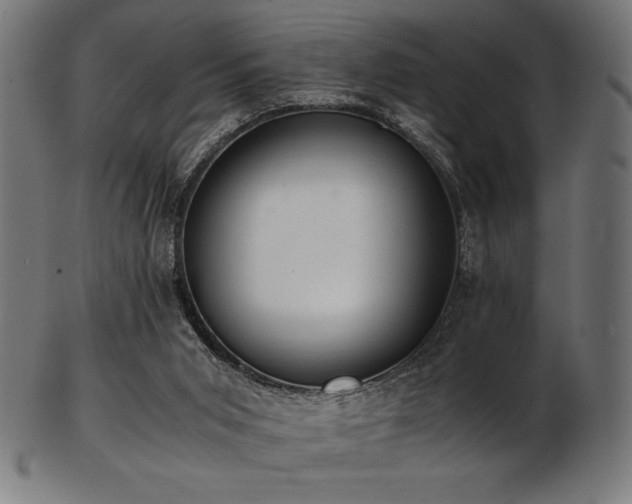 X0000103480015200809121700