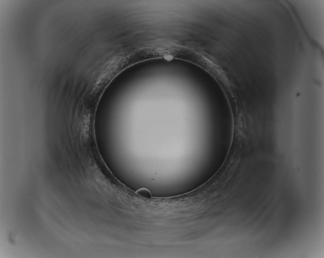X0000103480018200809121700