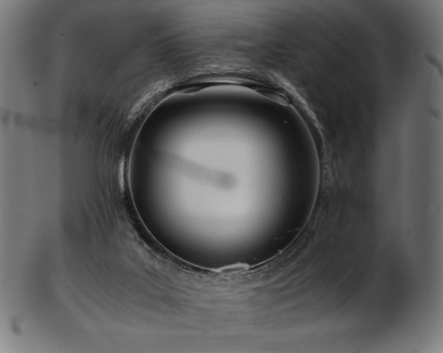 X0000103480019200809121700
