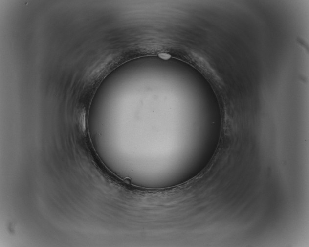 X0000103480021200809121700