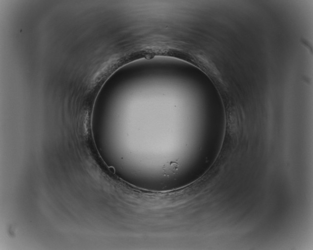 X0000103480023200809121700