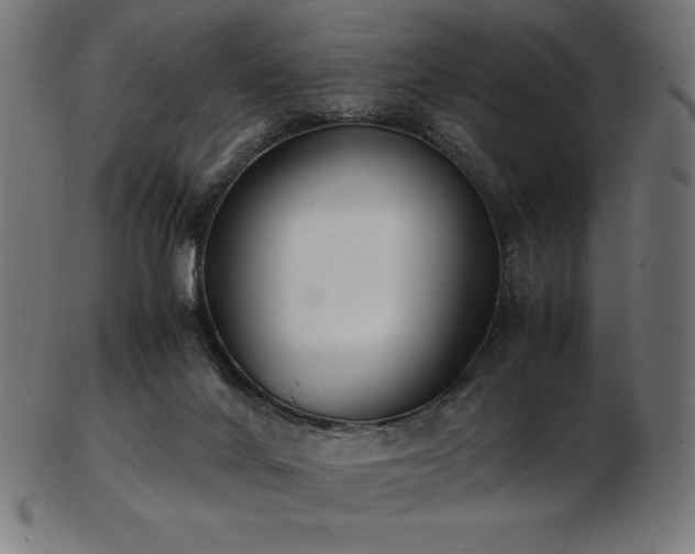 X0000103480024200809121700