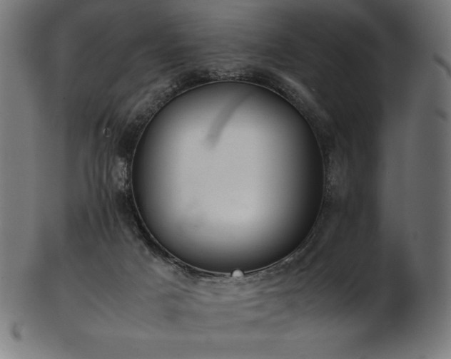 X0000103480025200809121700