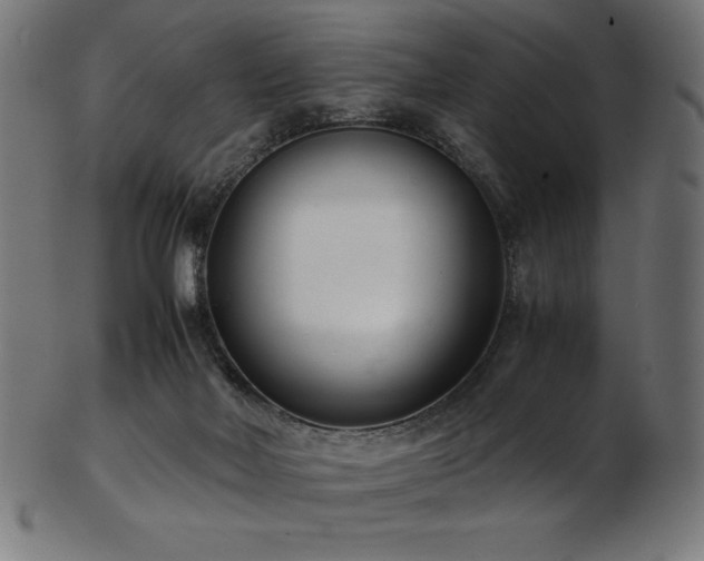 X0000103480026200809121700