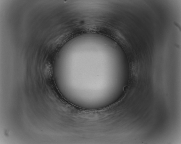 X0000103480029200809121700