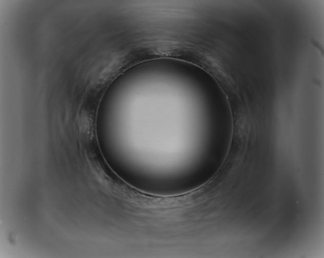 X0000103480031200809121700