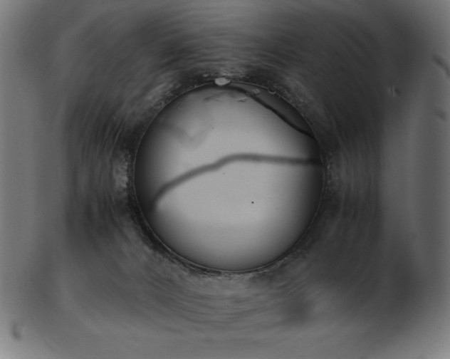 X0000103480032200809121700