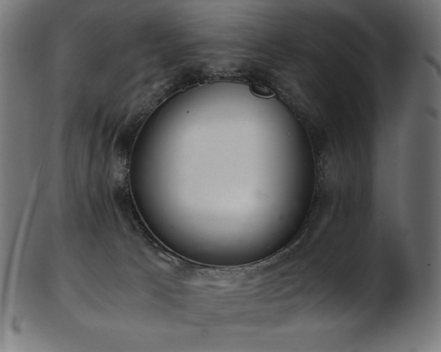 X0000103480033200809121700