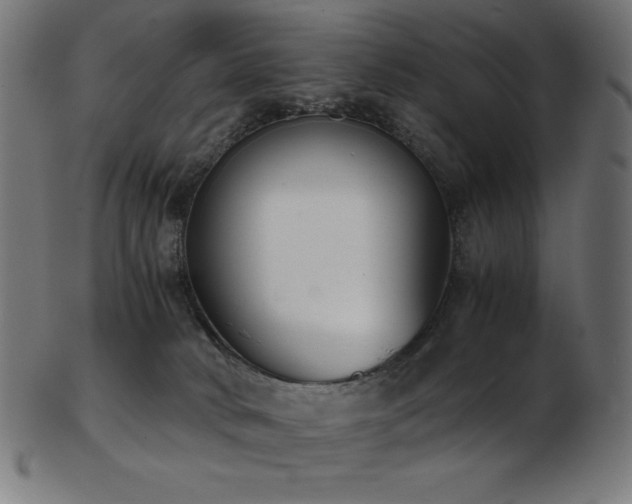 X0000103480034200809121700