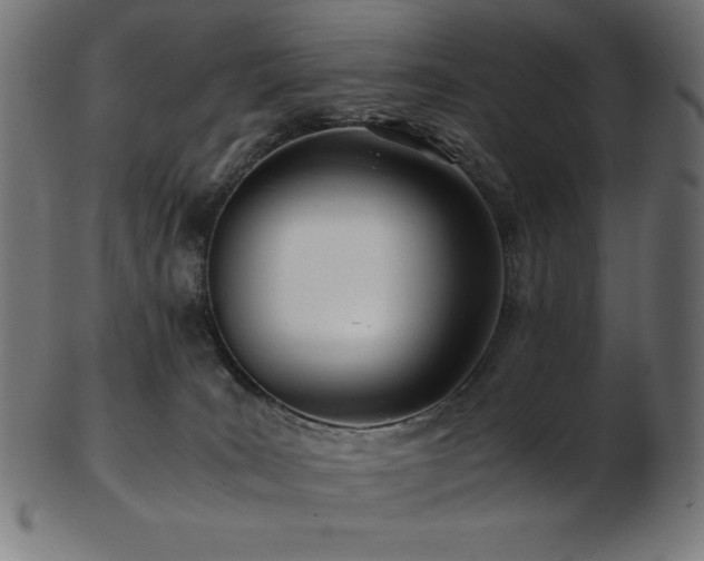 X0000103480035200809121700