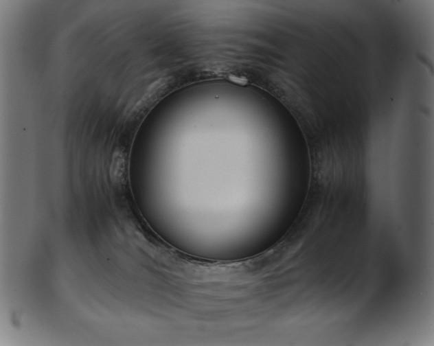 X0000103480036200809121700