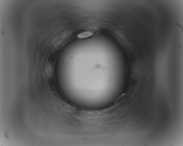 X0000103480037200809121700