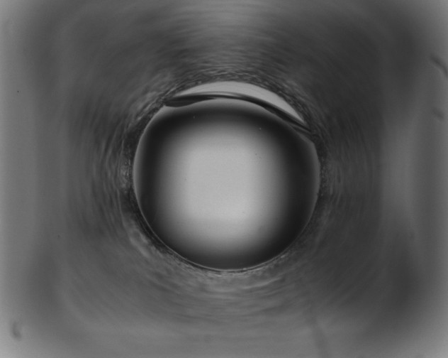 X0000103480039200809121700