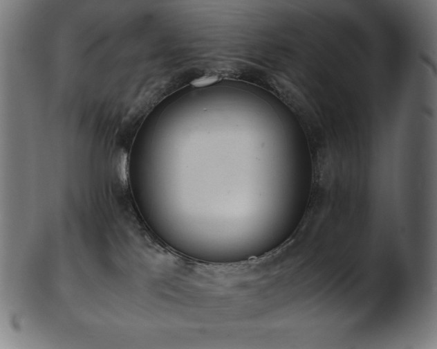 X0000103480041200809121700