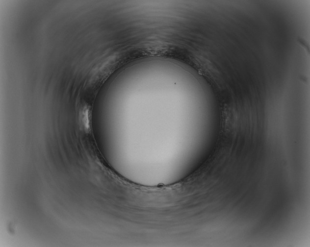 X0000103480042200809121700