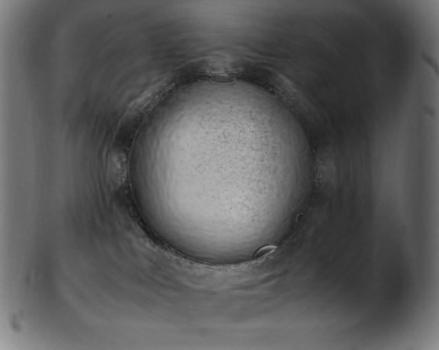 X0000103480043200809121700