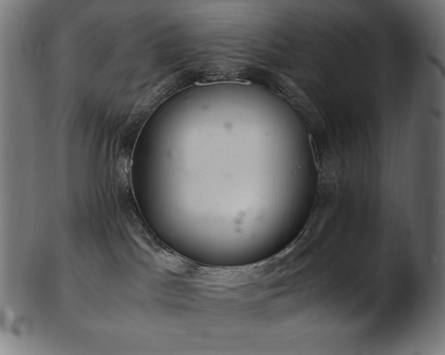 X0000103480045200809121700