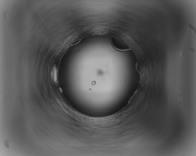 X0000103480046200809121700