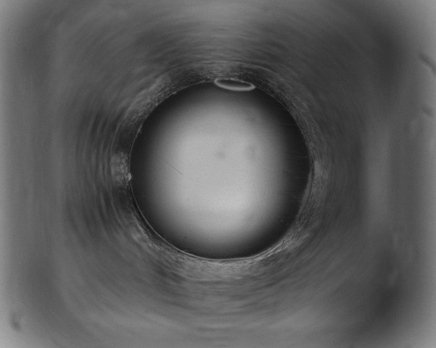 X0000103480048200809121700