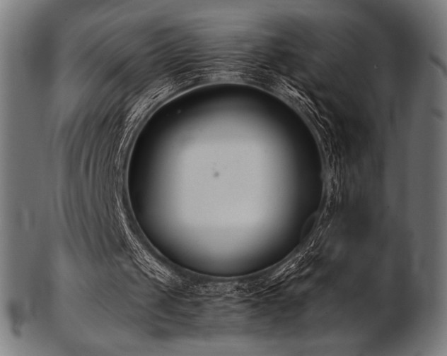 X0000103480049200809121659