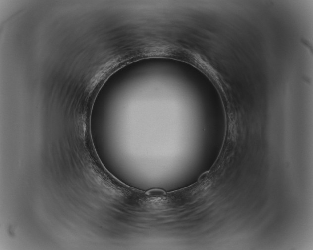 X0000103480059200809121659