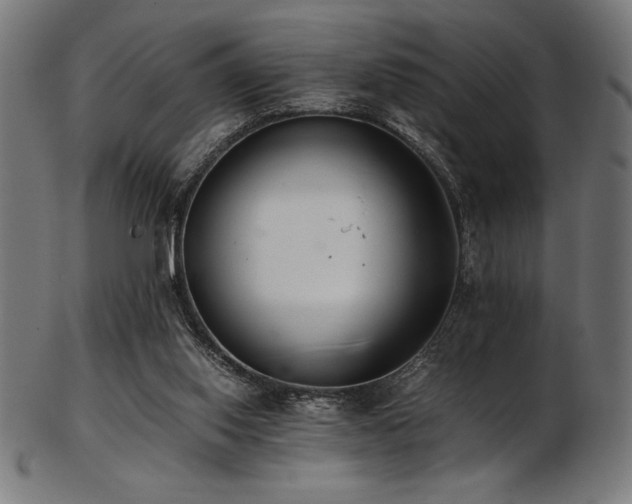 X0000103480062200809121659