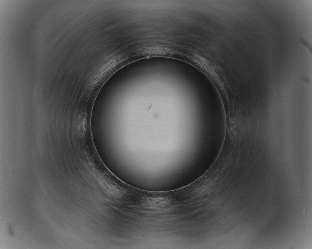 X0000103480063200809121659