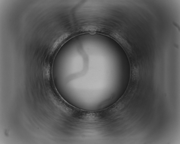 X0000103480064200809121659