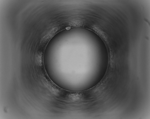 X0000103480065200809121659