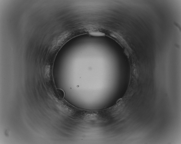 X0000103480066200809121659