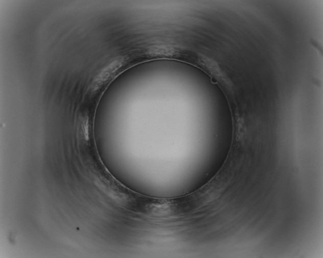 X0000103480068200809121659
