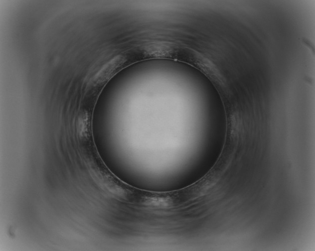 X0000103480073200809121659