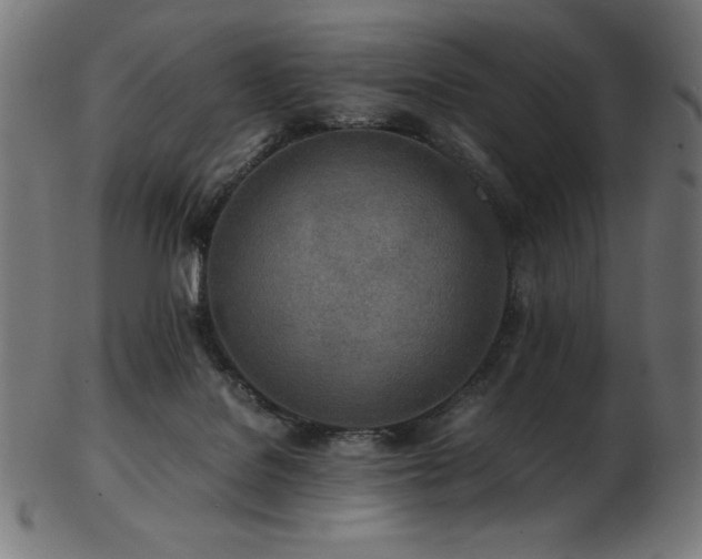 X0000103480076200809121659