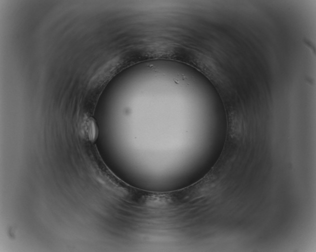 X0000103480077200809121659