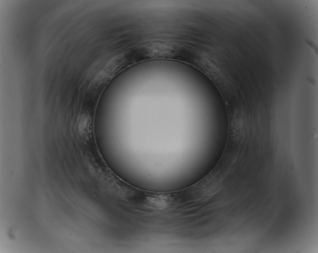 X0000103480079200809121659