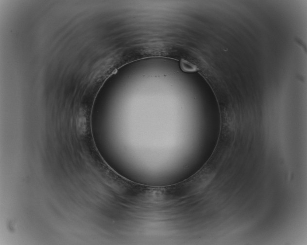 X0000103480080200809121659