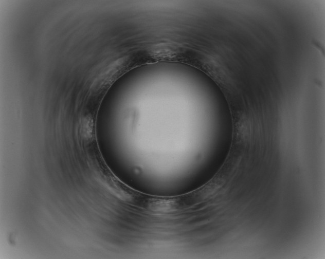 X0000103480081200809121659