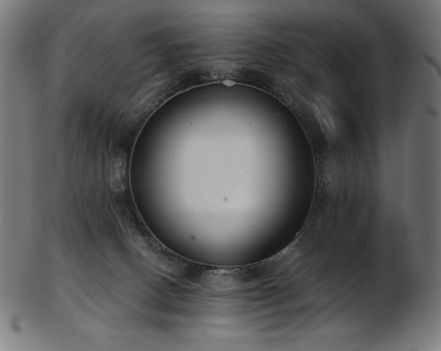 X0000103480082200809121659