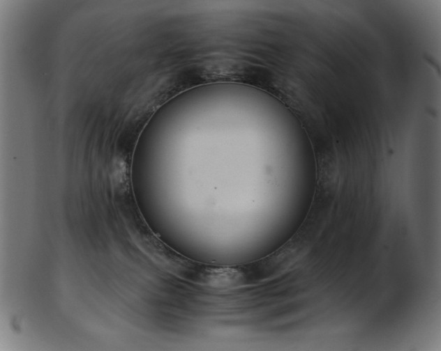 X0000103480087200809121659