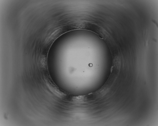 X0000103480092200809121700