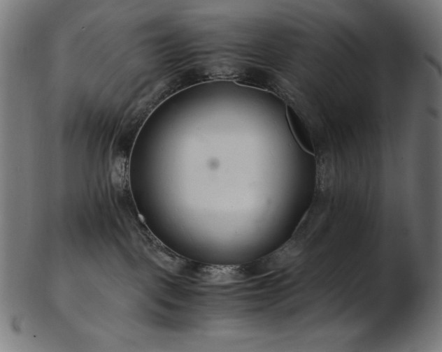 X0000103480093200809121700