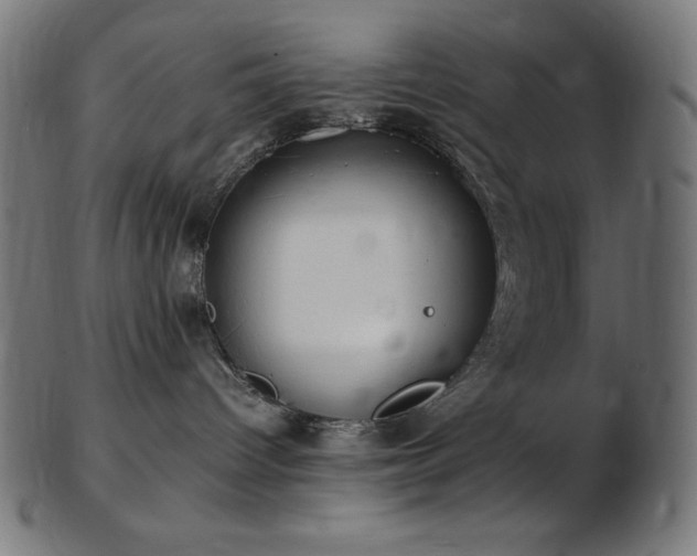 X0000103480096200809121700
