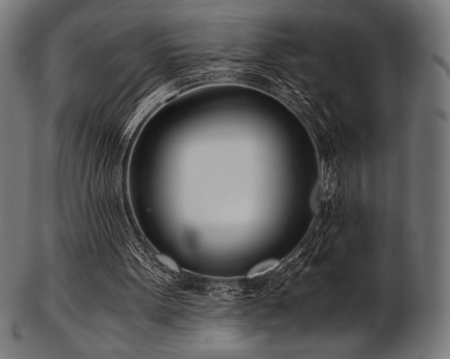 X0000103480099200809121659