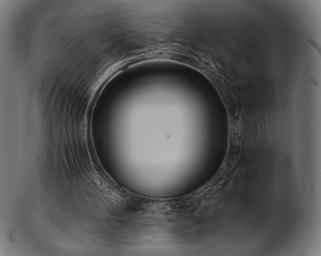 X0000103480100200809121659