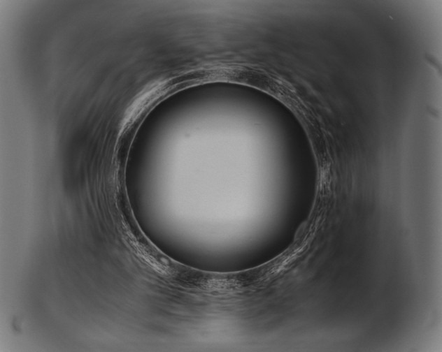 X0000103480101200809121659