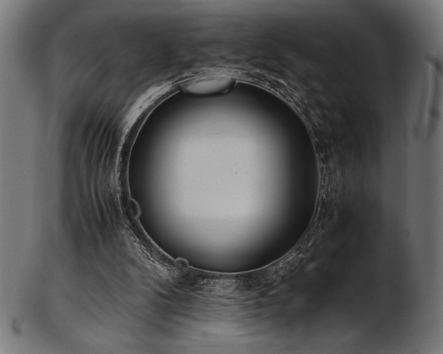 X0000103480104200809121659