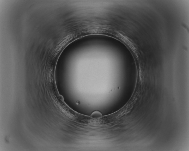 X0000103480105200809121659